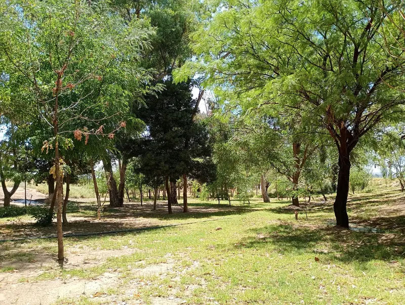 camping carrizal 0