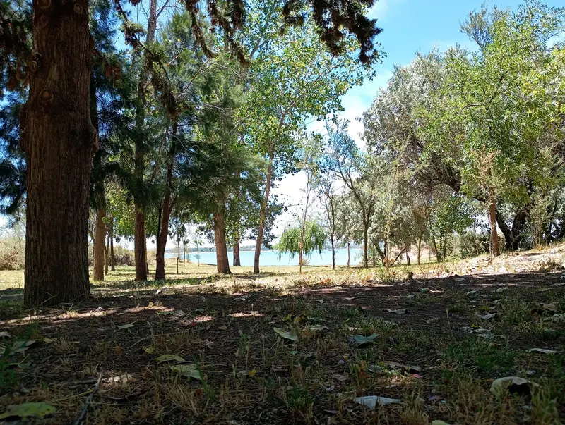 camping carrizal 1