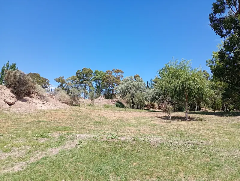 camping carrizal 3