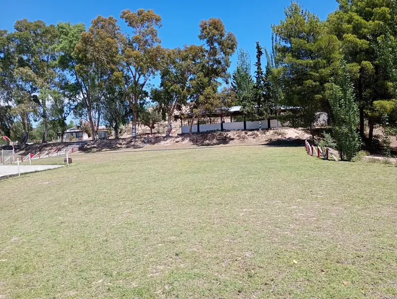 camping carrizal 4